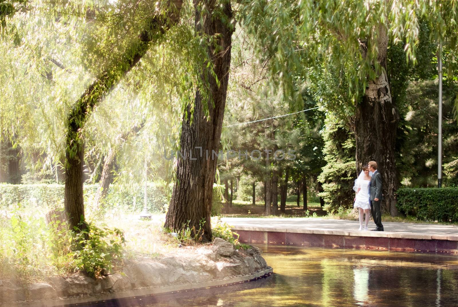 The bride and groom walking on solar park, standing near the lake, through the trees breaking through the sun's rays