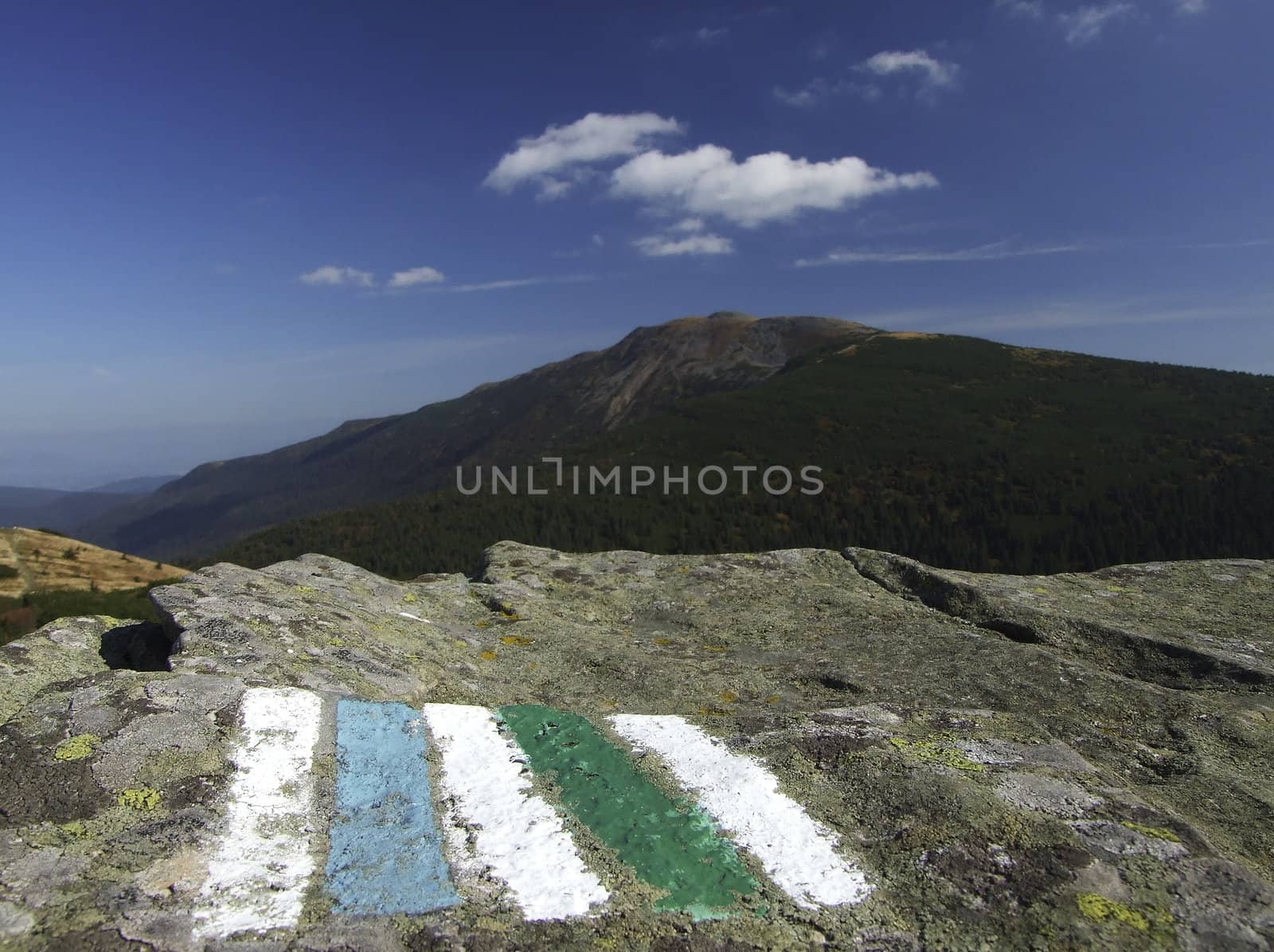 Summer in the mountain.Beskidy, Babia Góra, Poland.