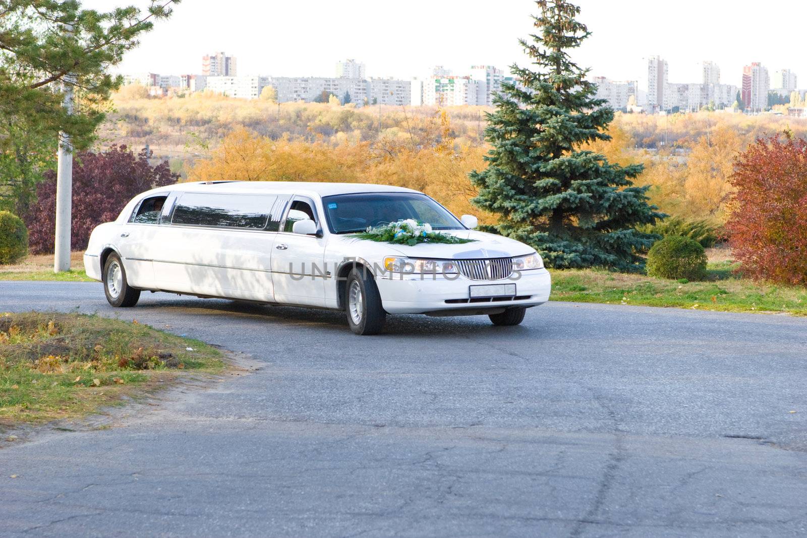 a decorated car on the road