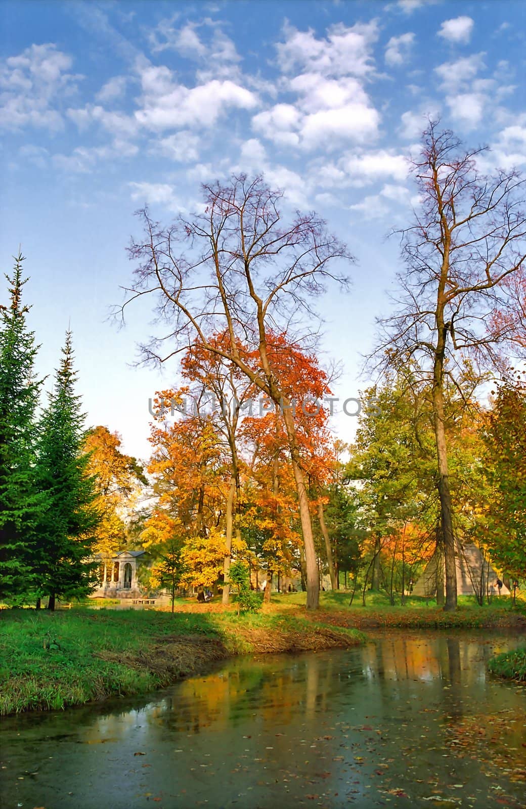 Autumn in the park with fallen leaves in water