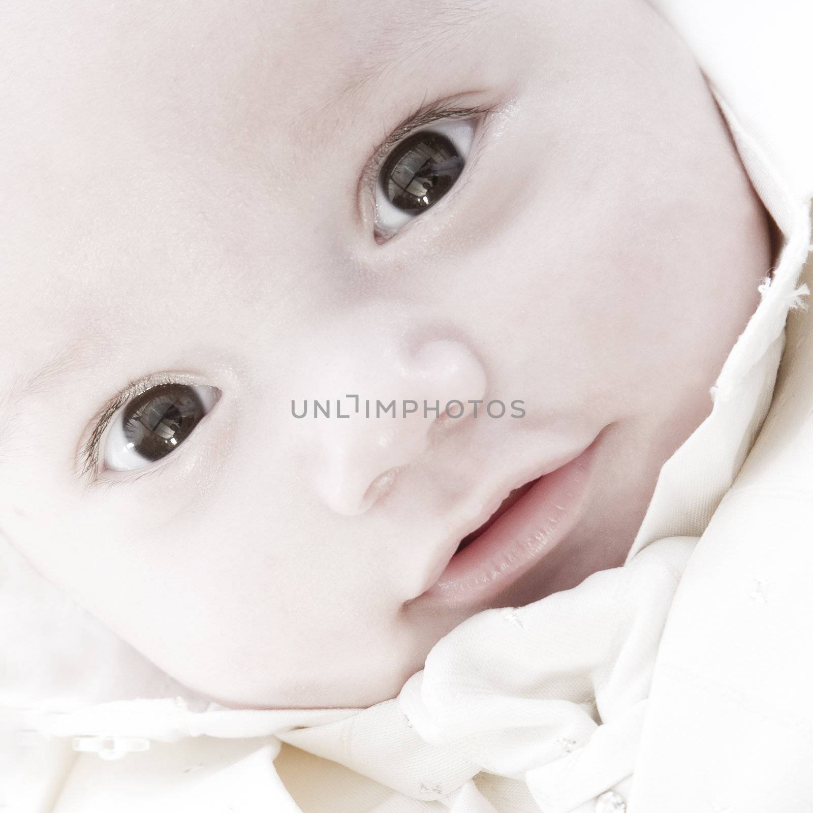 little children portraits taken in the studio on a white background