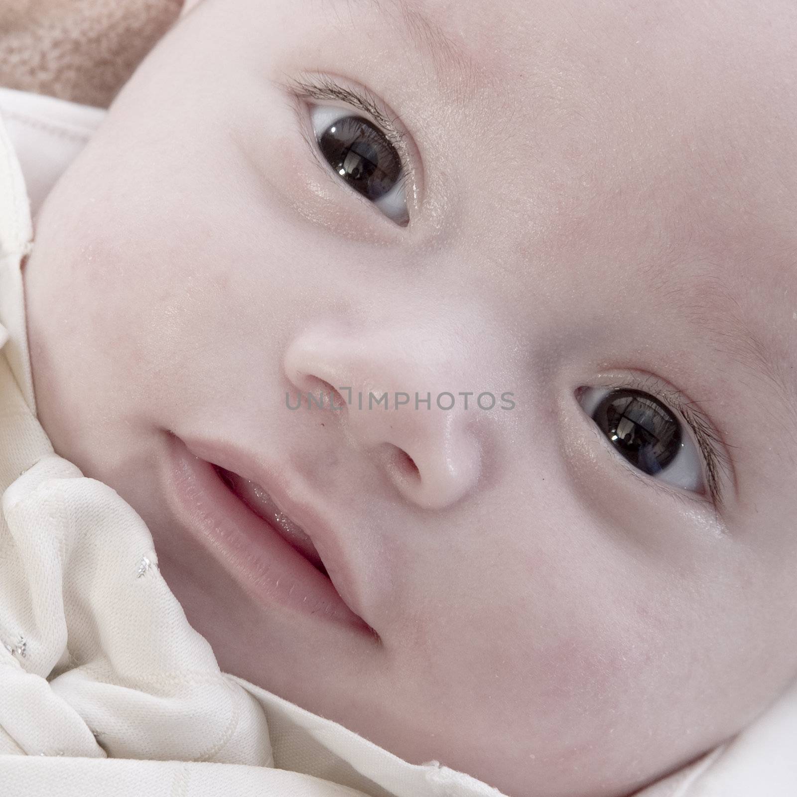 little children portraits taken in the studio on a white background