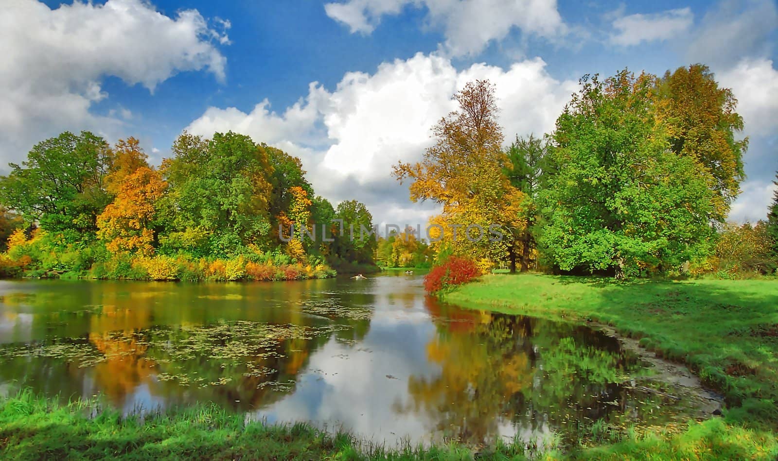 Bright autumn trees and boats in the park