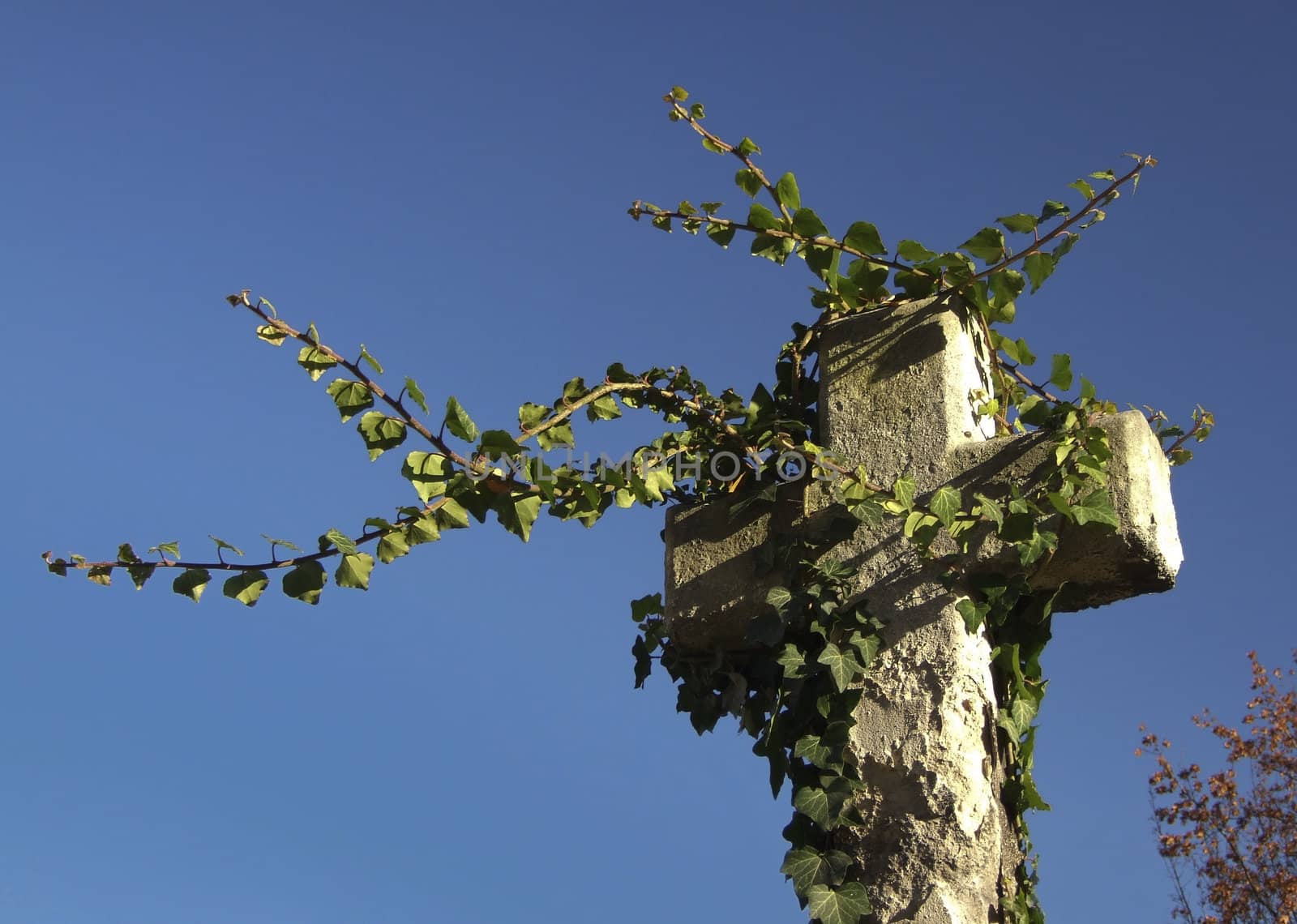 Crucifix on the cementary by whiteowl