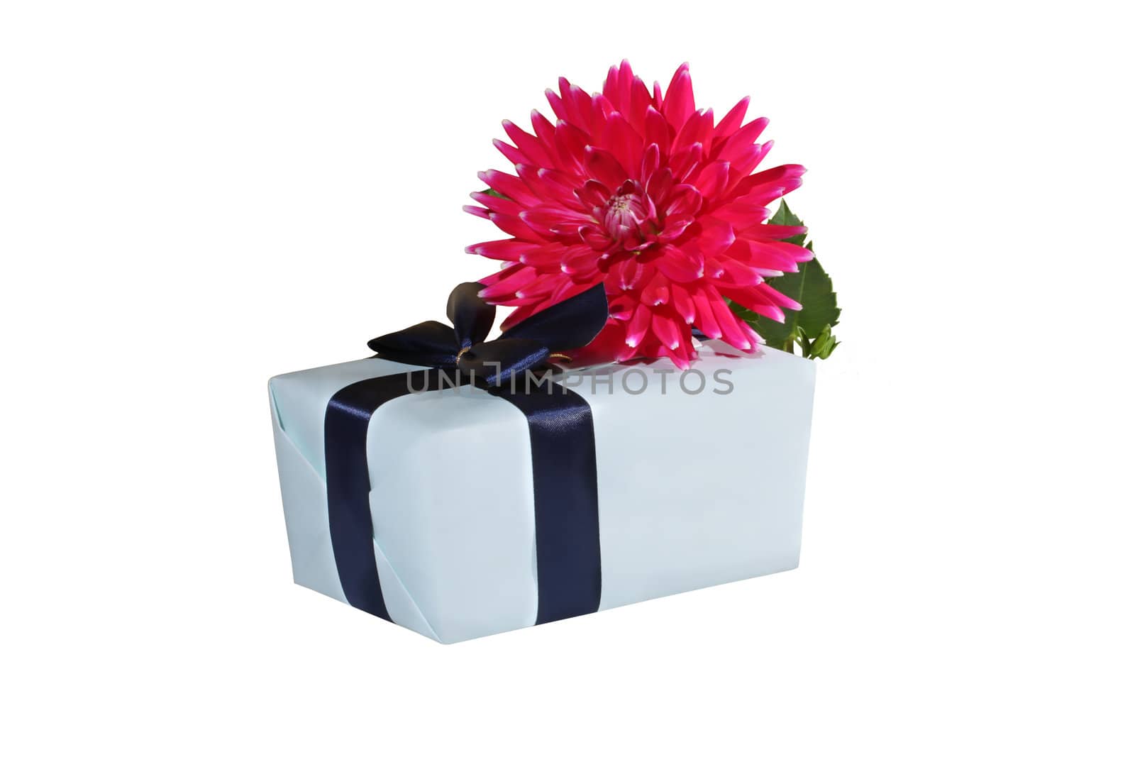 Gift box with flower on top 