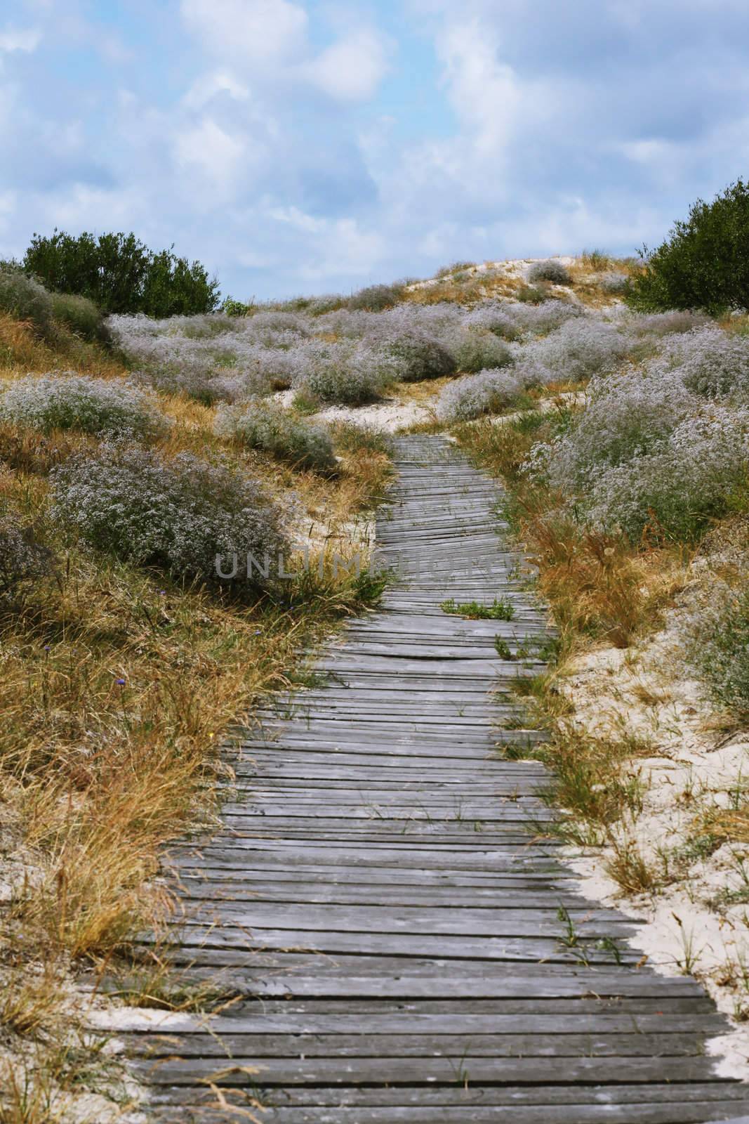 old wooden footpath