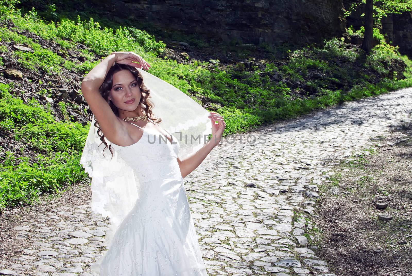 attractive bride with a veil poses on the road