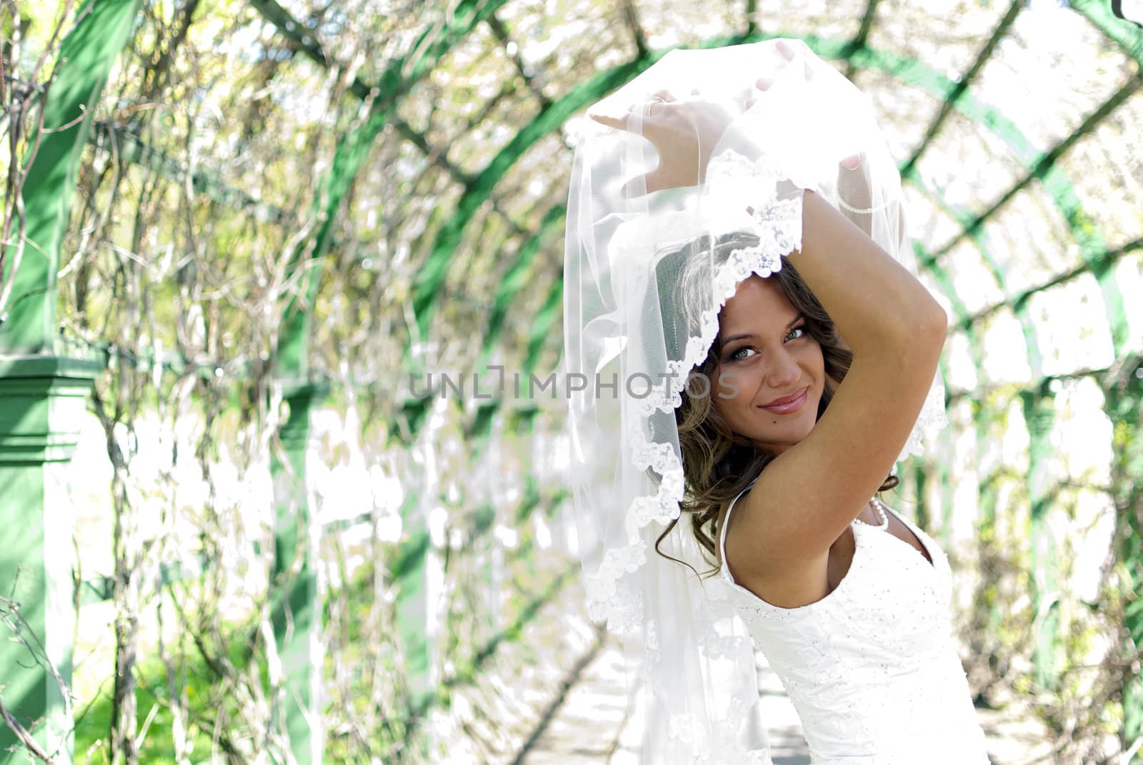 Young cute bride posing with a veil