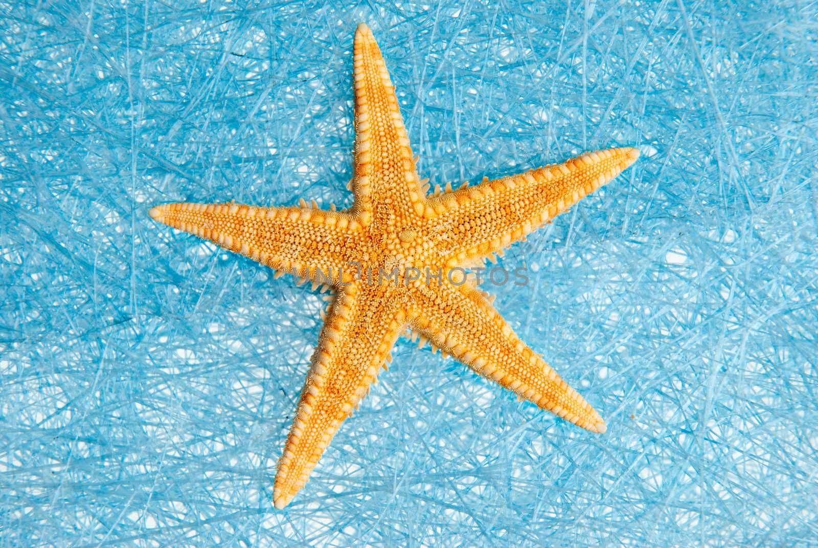 Sea star on blue straw mesh  background.