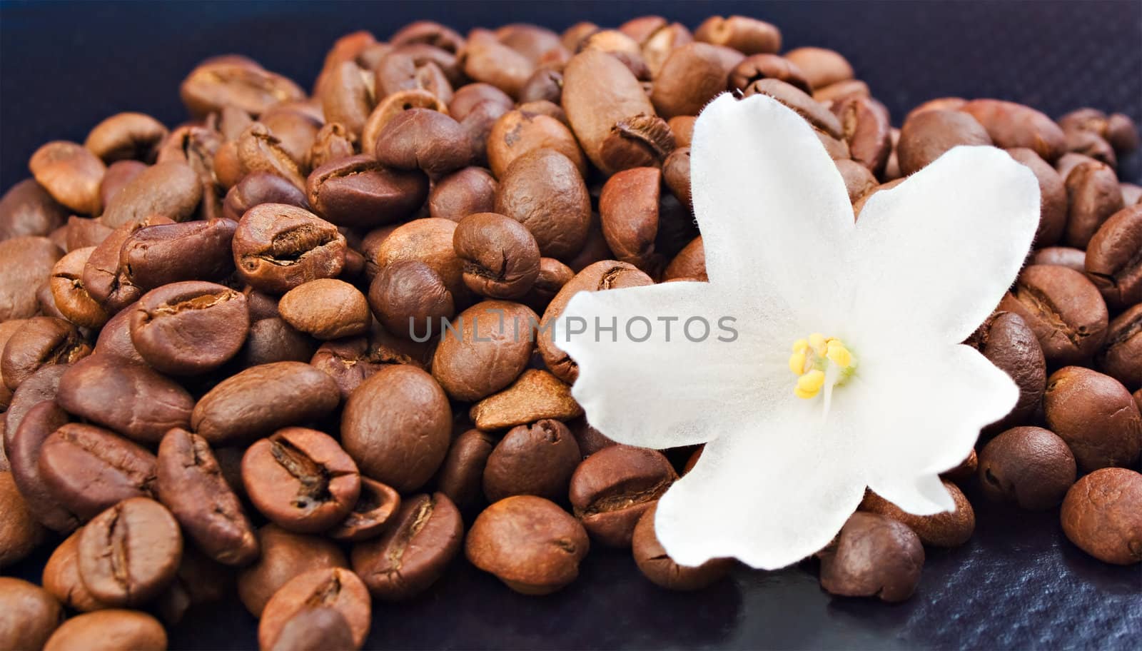 Coffee beans with white flavor