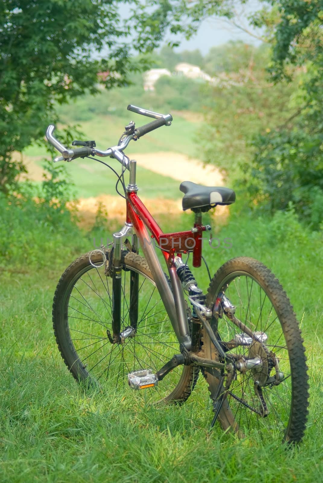 Mountain bicycle at sunny day at field