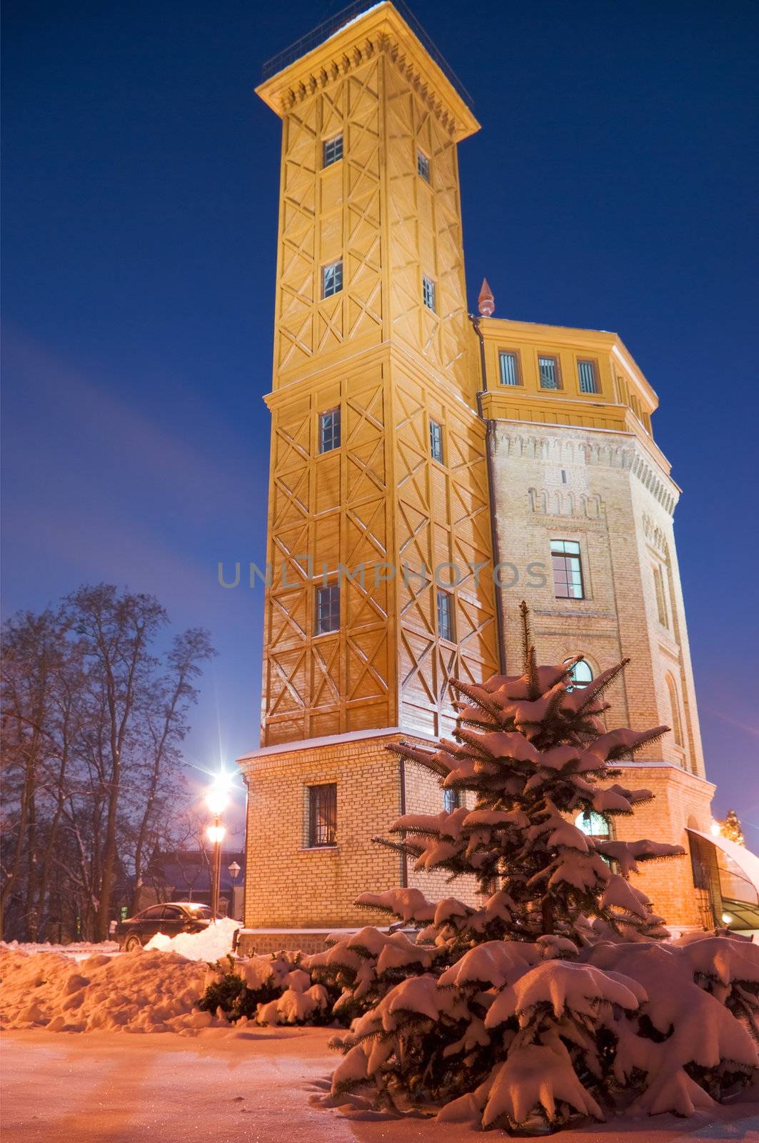 christmas tree in front of historical building, niht view