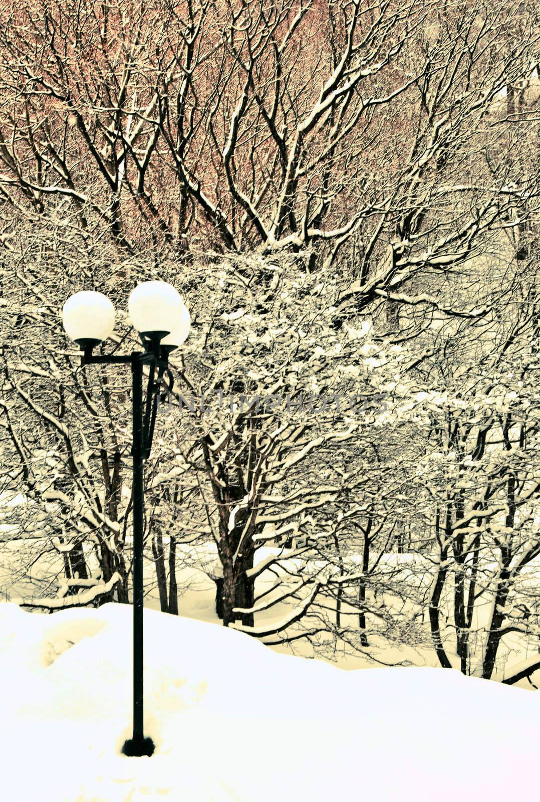 Snowy lantern with snow falling on street
