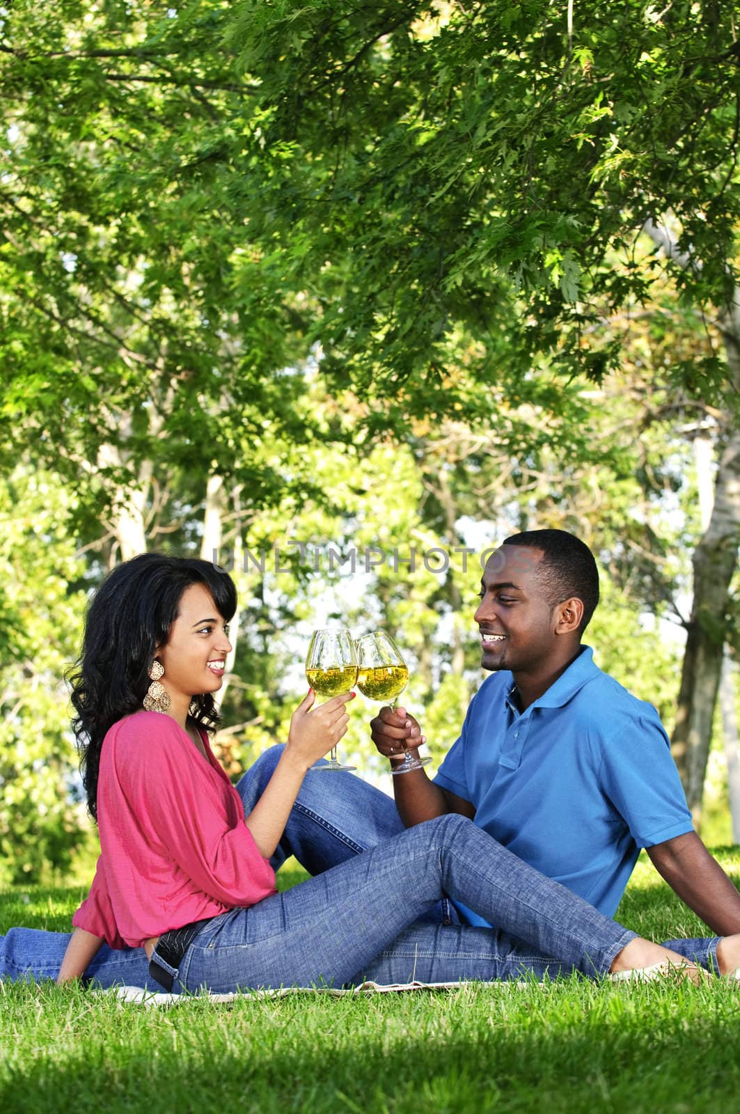Happy couple having wine in park by elenathewise