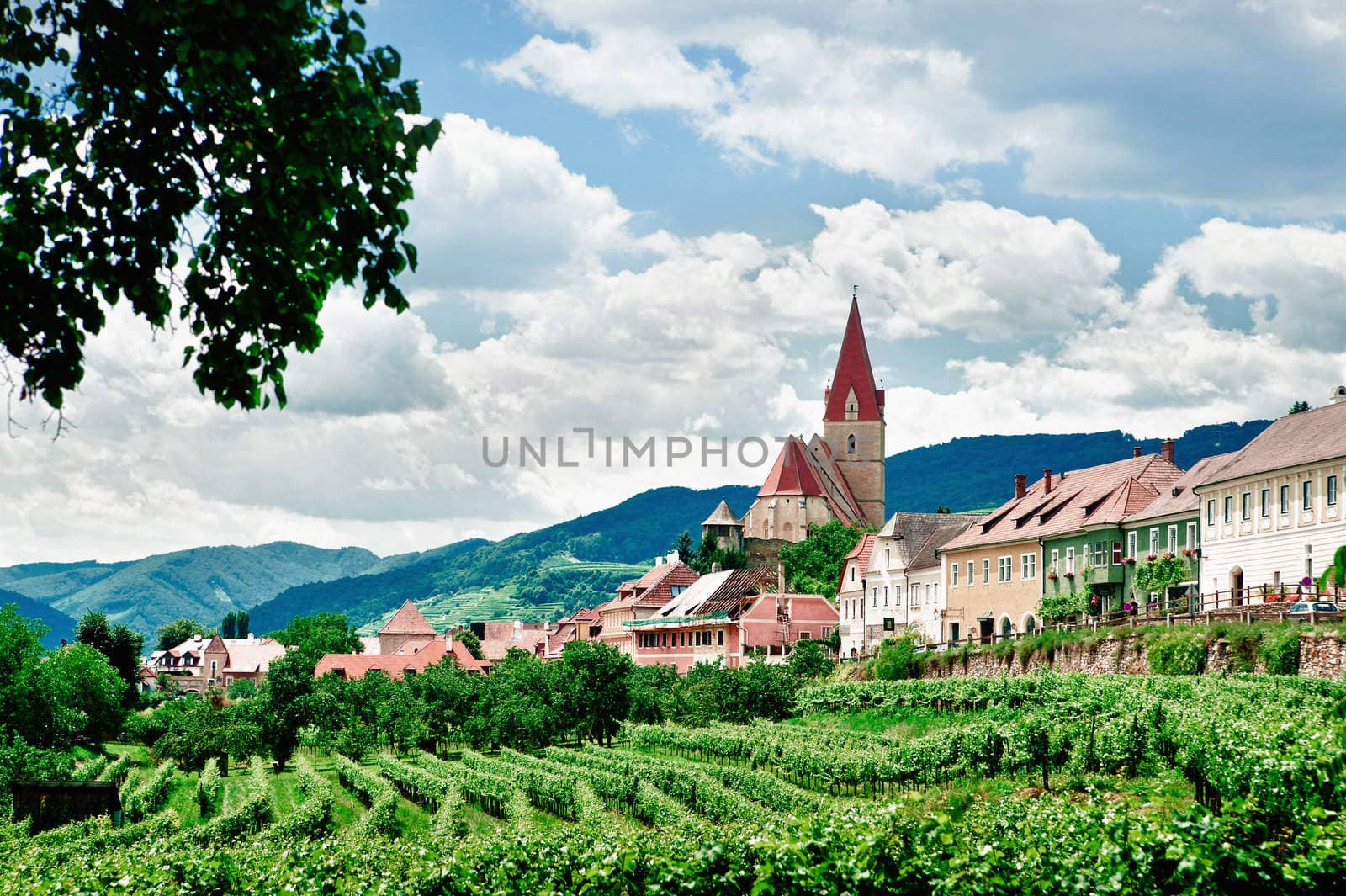 Weissenkirchen, a village with vineyards in Lower Austria