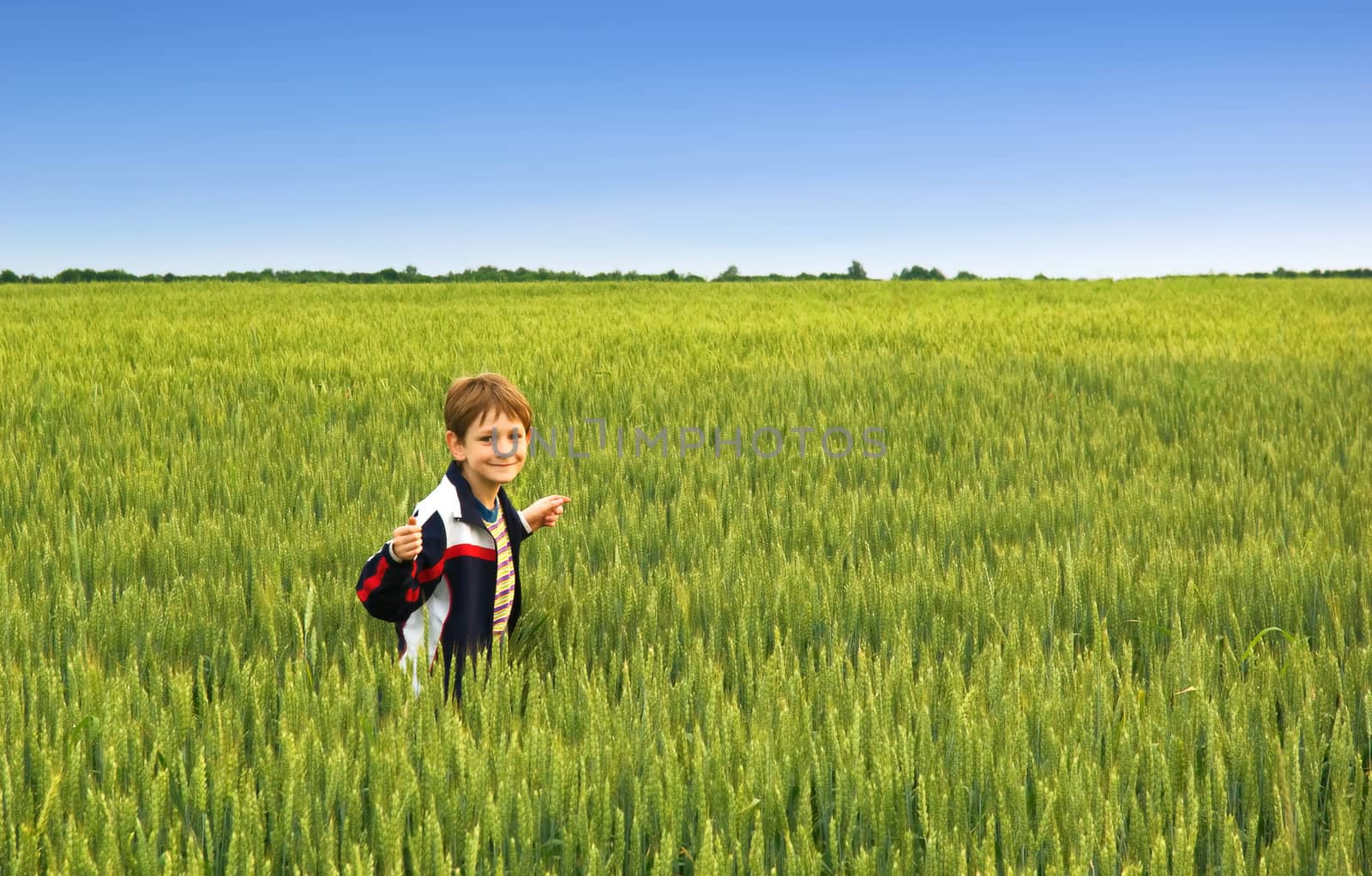 a smiling little boy in the meadow
