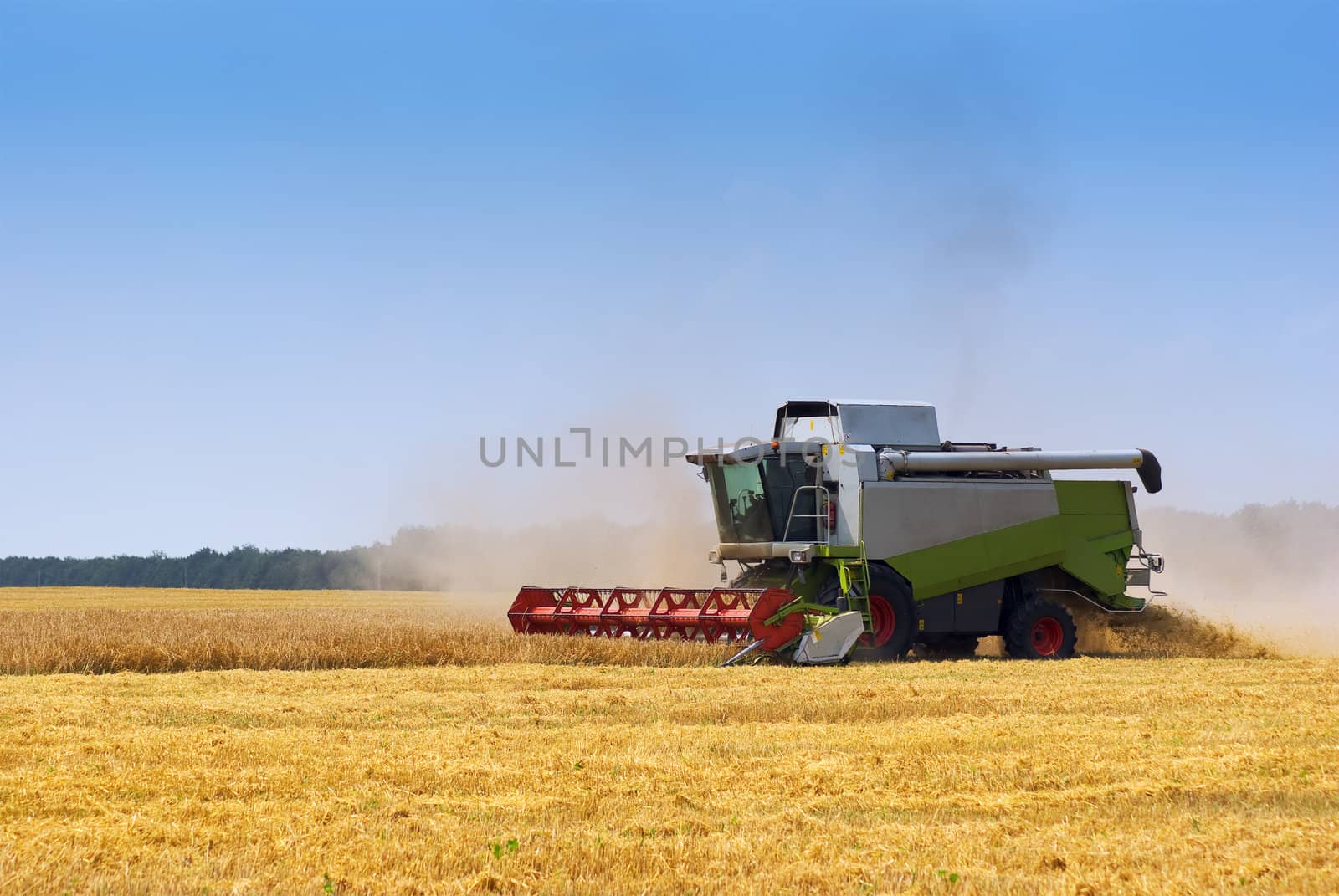 Big  combine working on the Wheat field