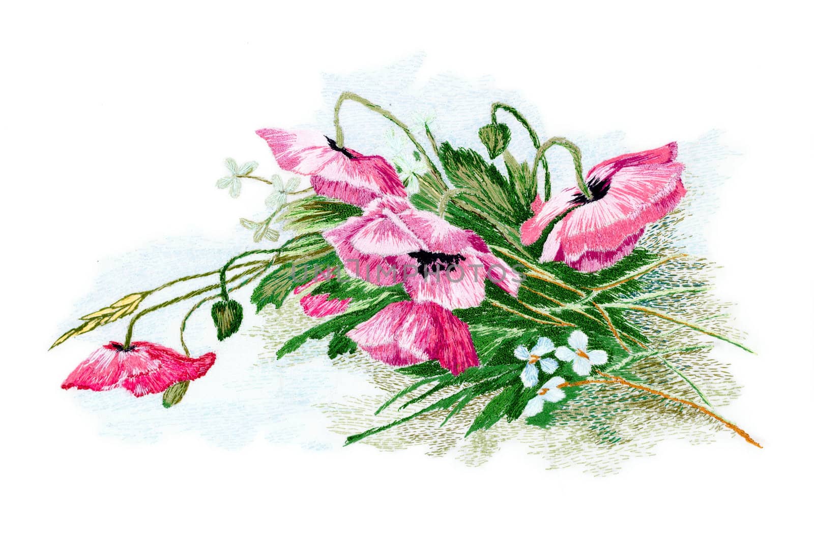Flowers, embroidered smoothness, isolated on white background