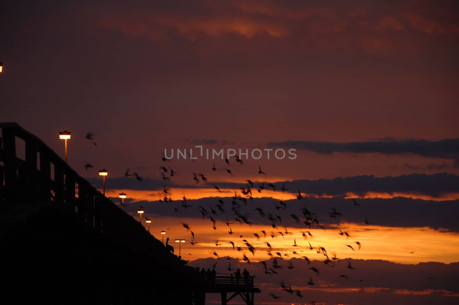 The sunrise over the pier at Kure Beach with birds flying around