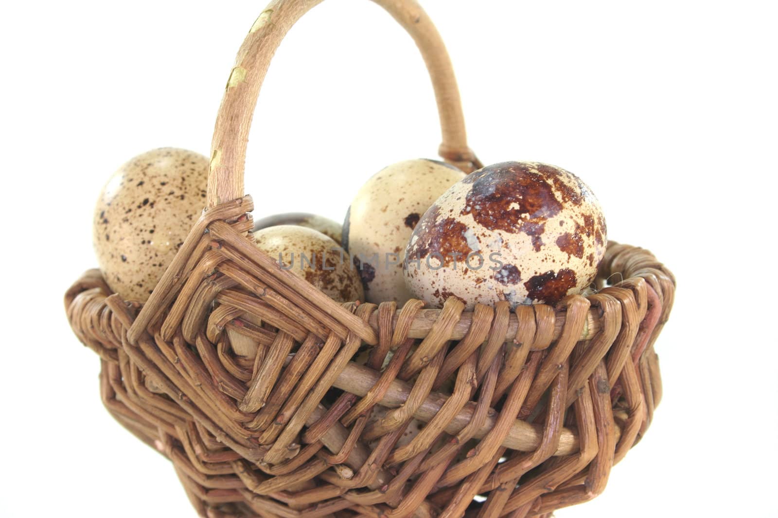 Quail eggs in a basket on white background