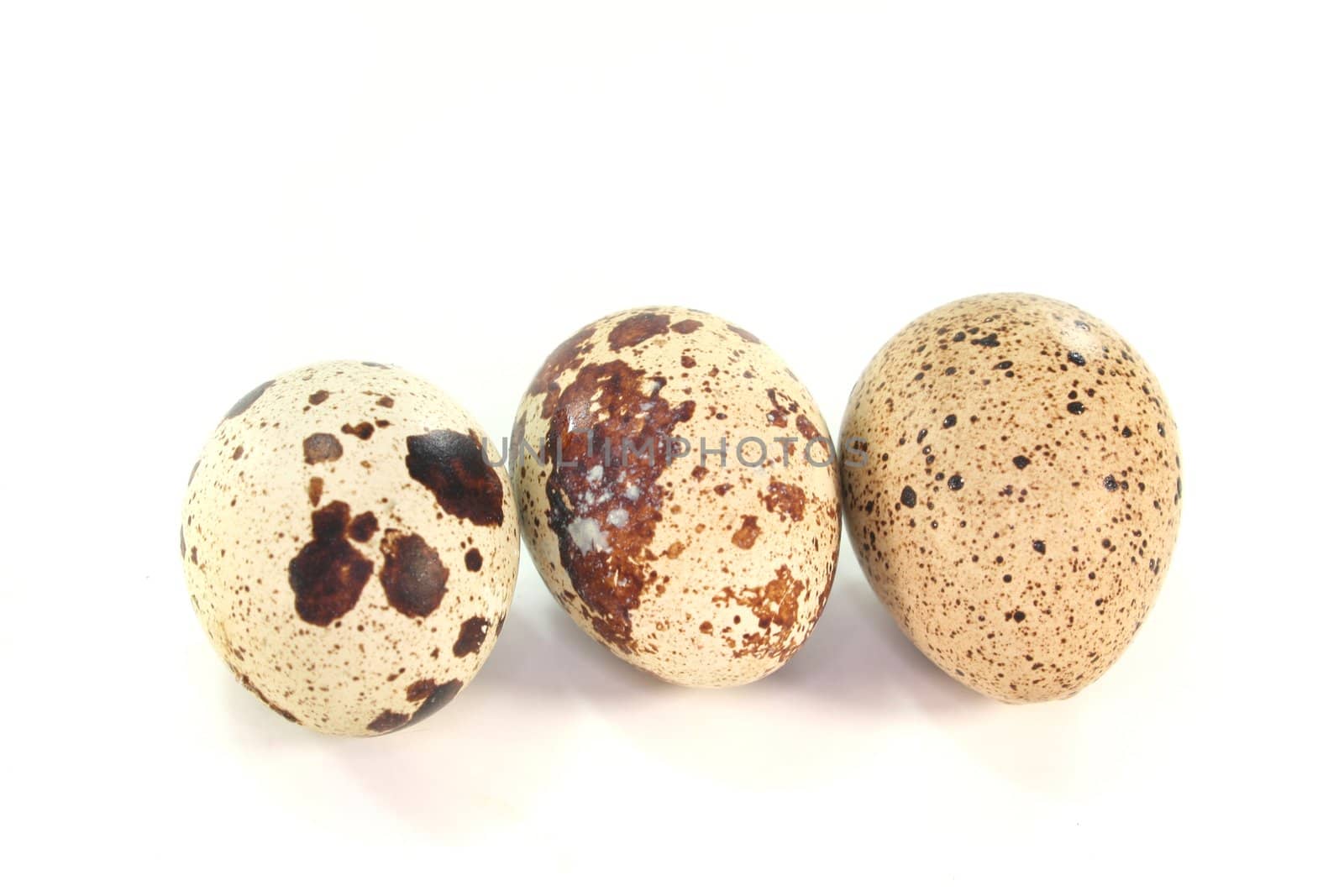 fresh Quail eggs on a white background