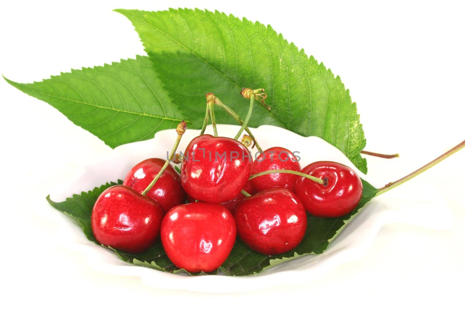 fresh red cherries in a bowl on white background