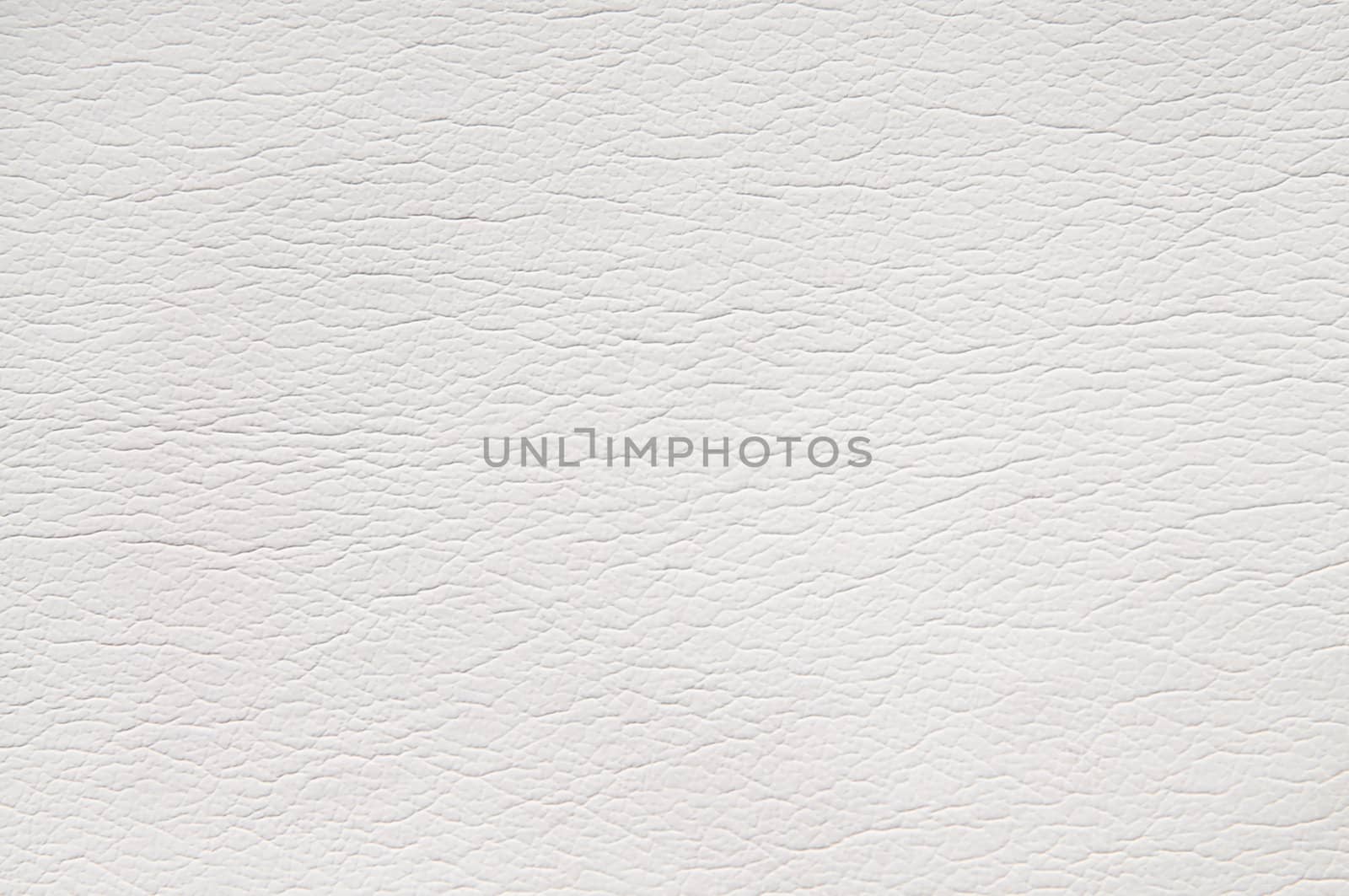 White leather background by zeffss