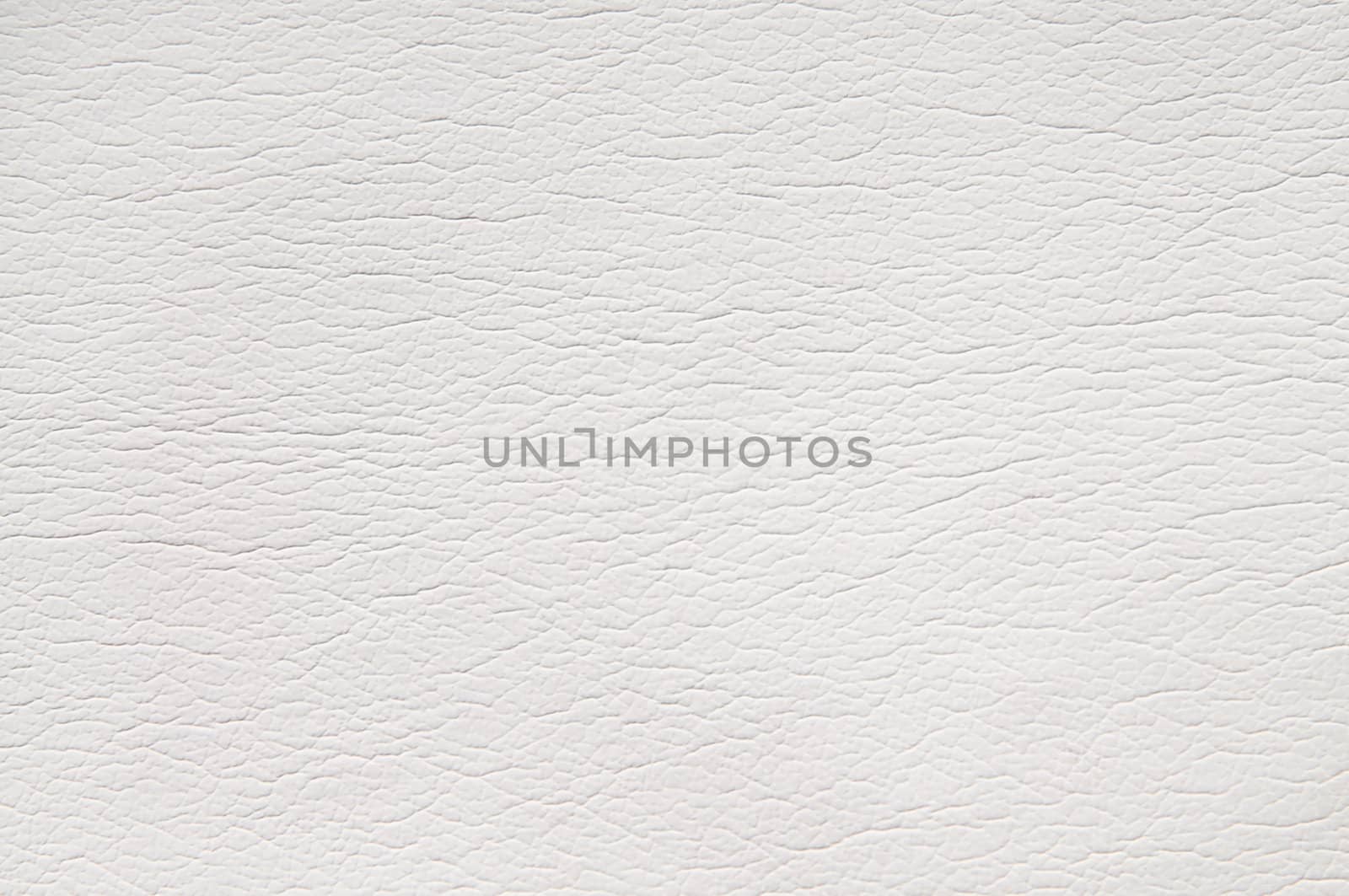 White leather background