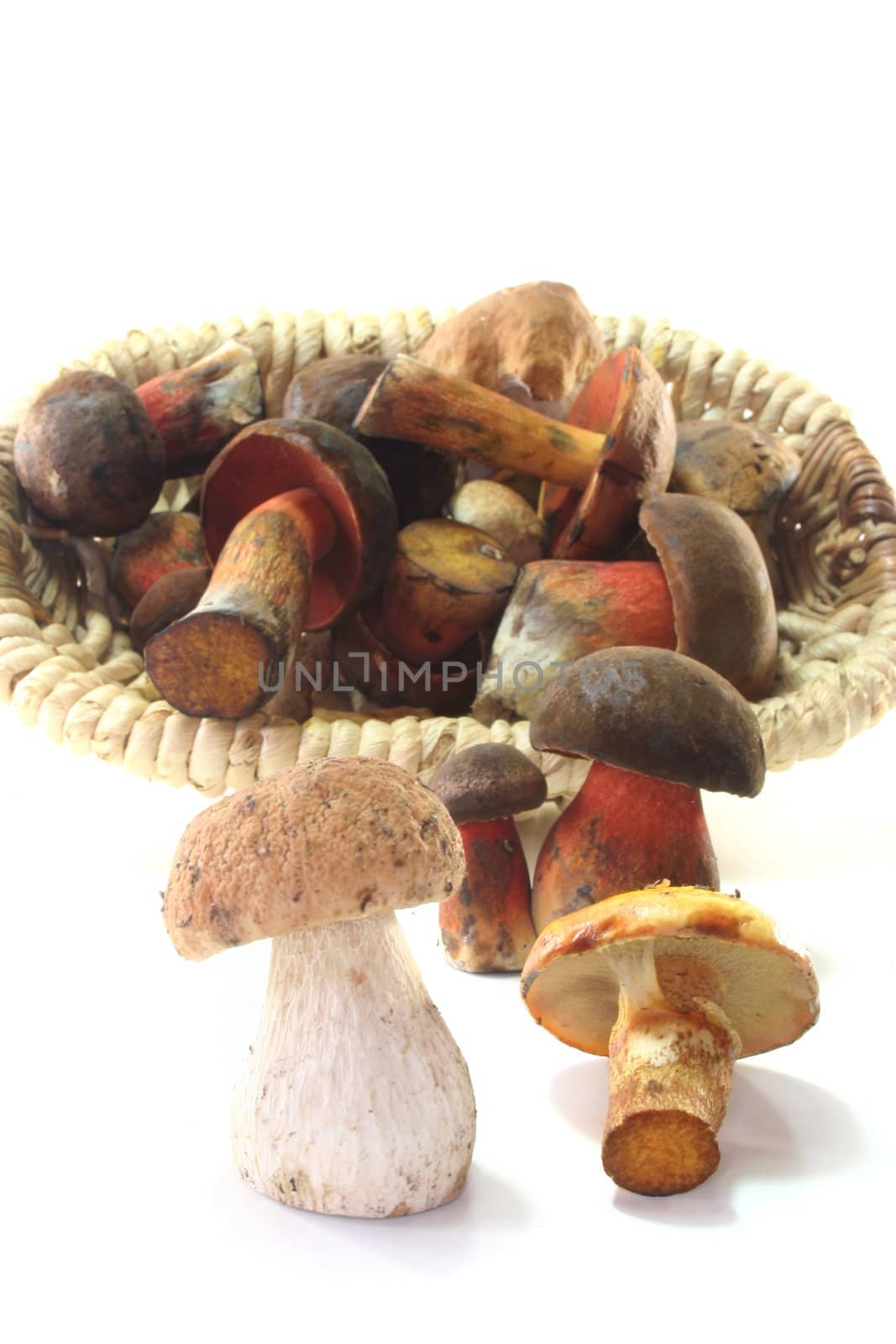 a few Wild mushrooms in a basket on a white background