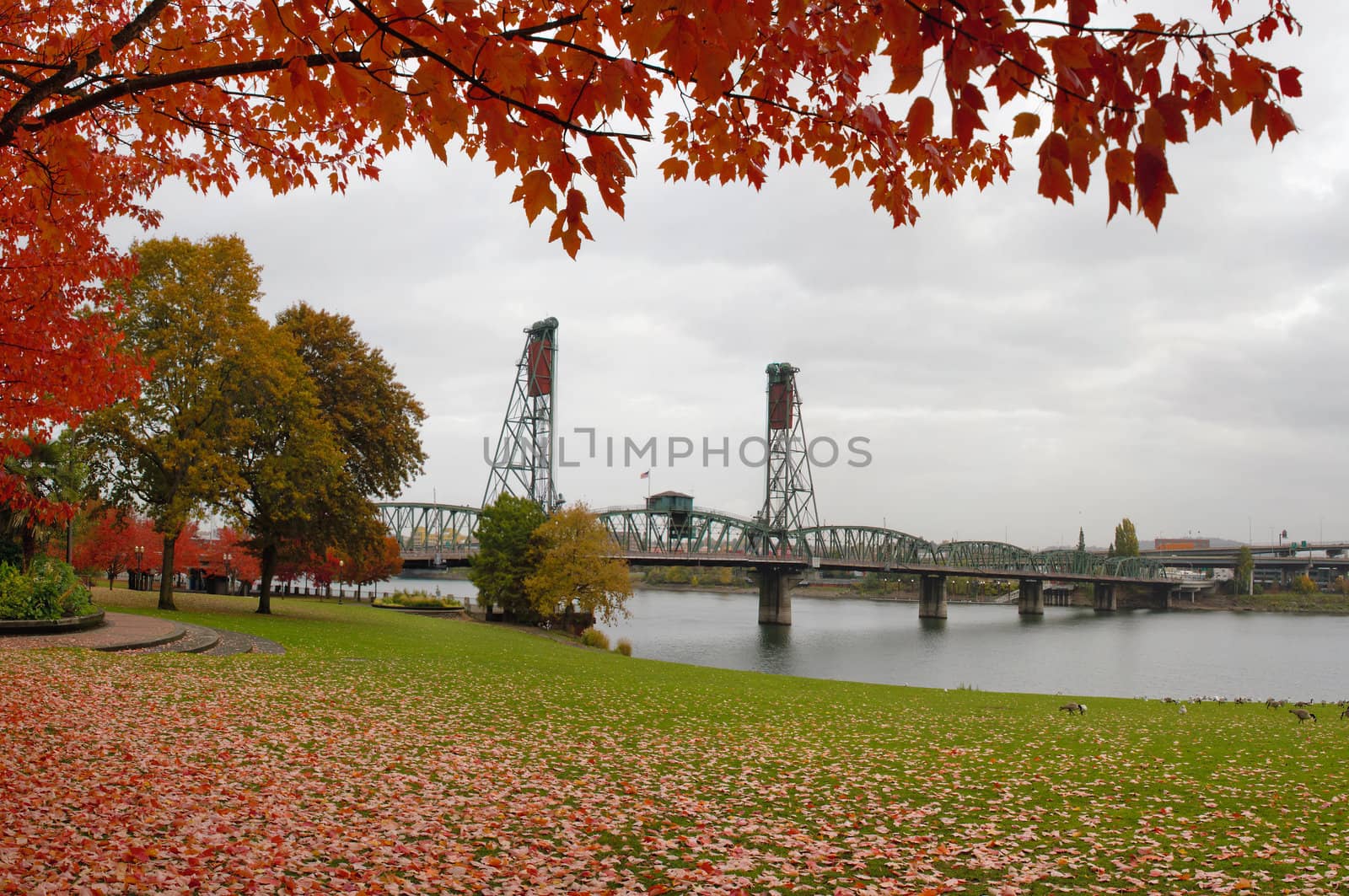 Fall Colors at Portland Oregon Downtown Waterfront by Hawthorne Bridge