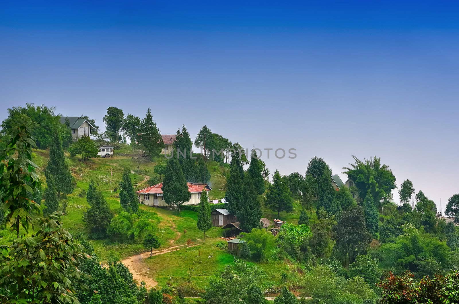 The green valley, village road and cottages with blue sky