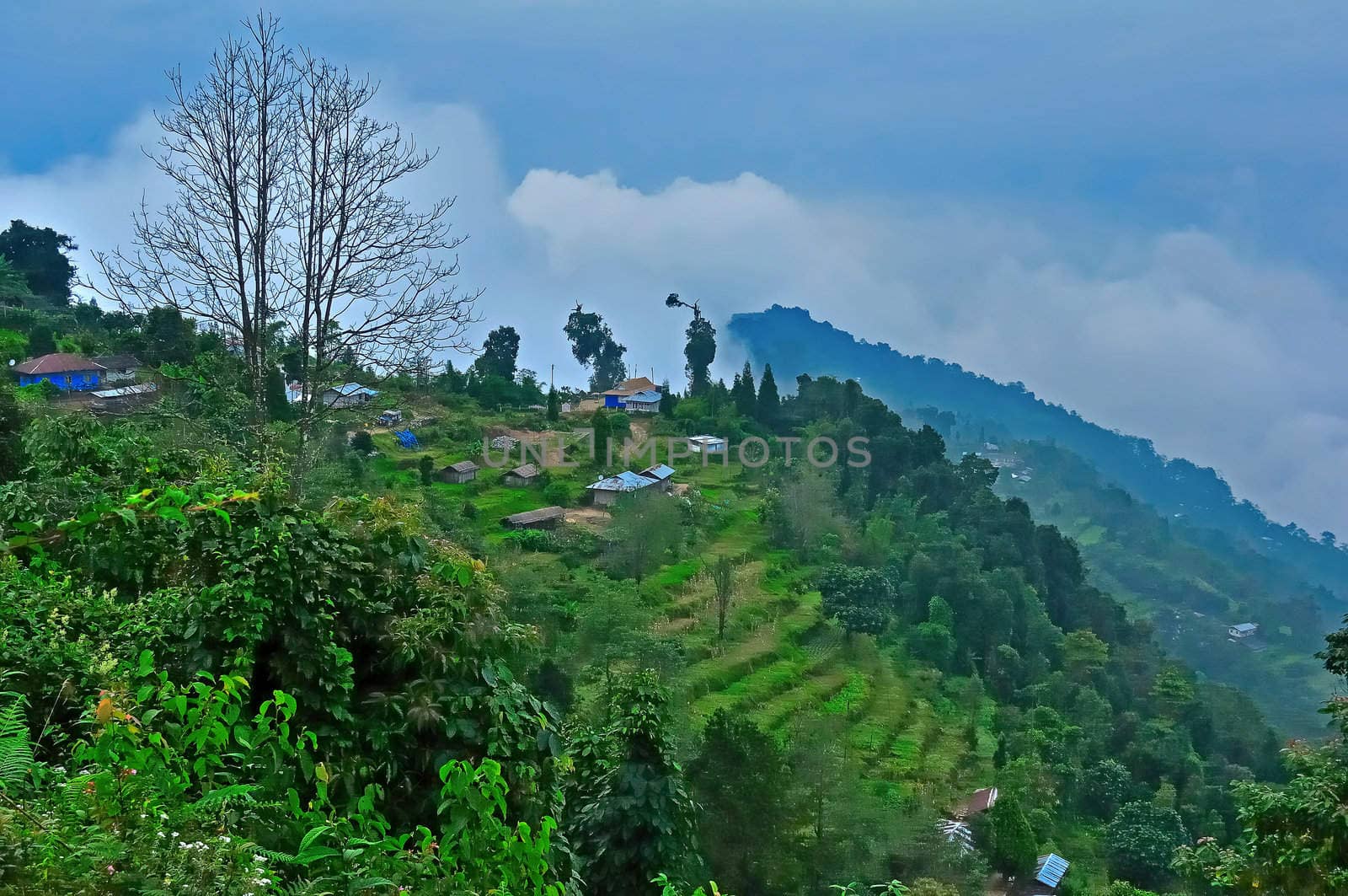 The green valley, village road and cottages blue sky mountains and step farming