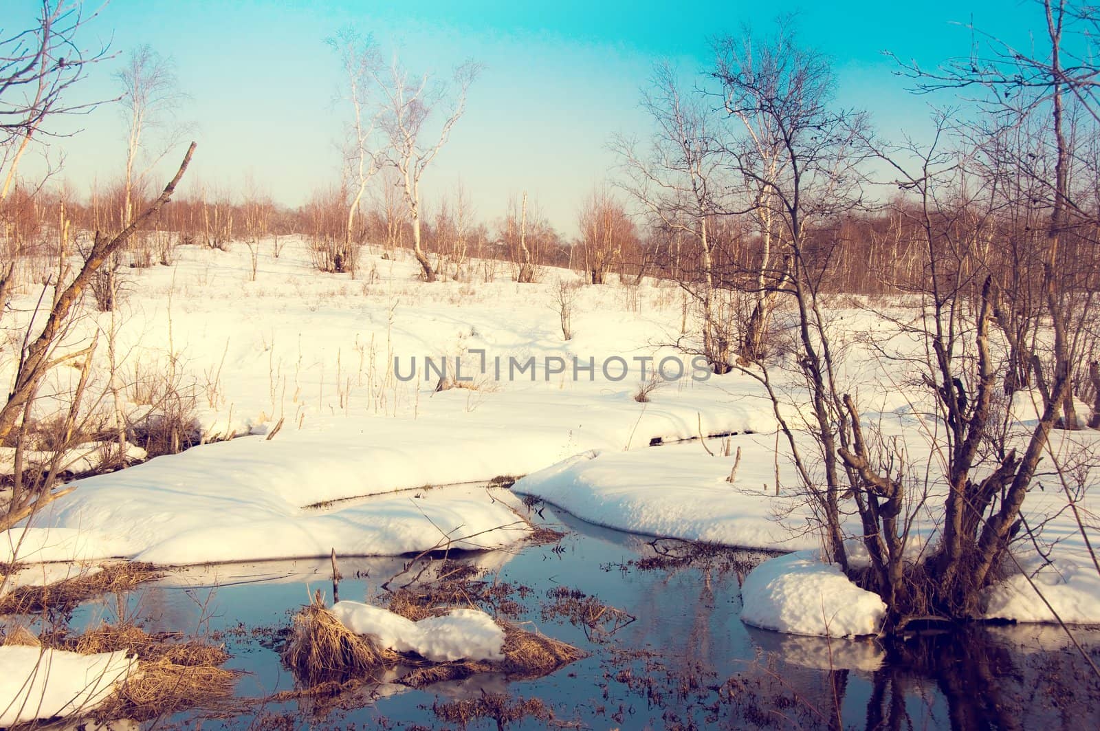 snow winter landscape on Kamchatka in Russia