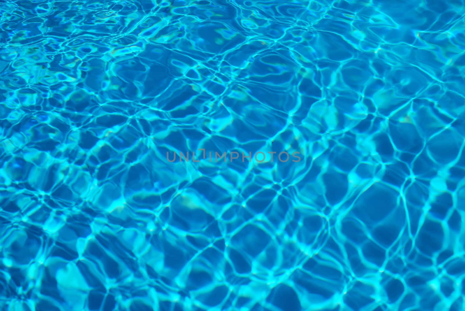 The summer sun reflected in the water 