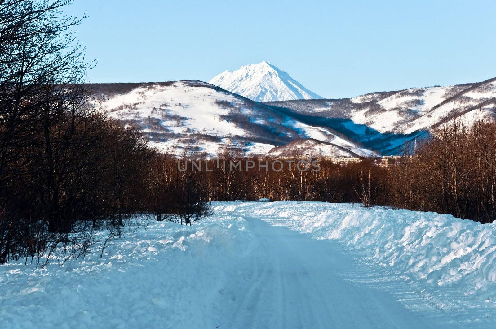 snow road to winter wood on kamchatka