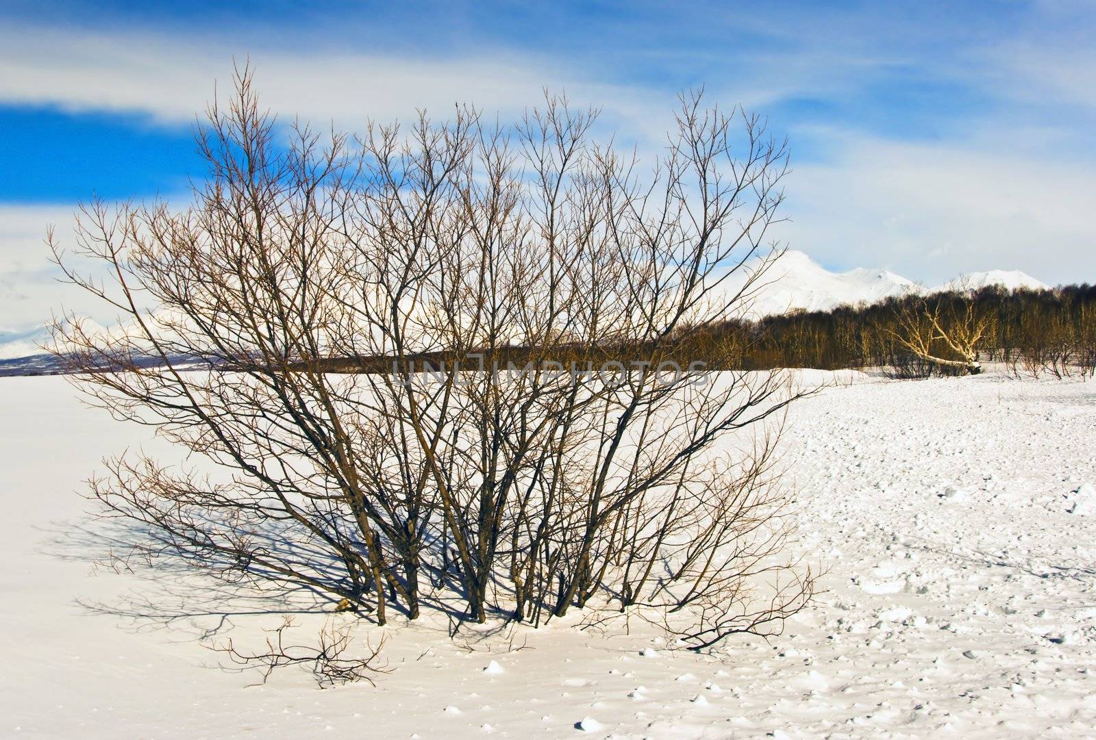 Winter landscape in Russia on Kamchatka in January