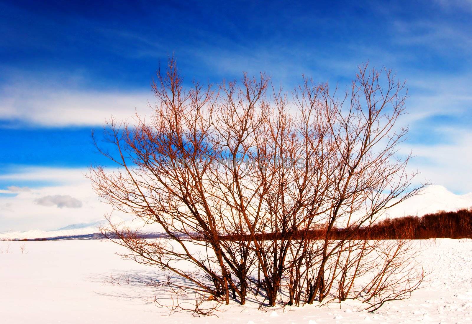 Winter landscape in Russia on Kamchatka in January
