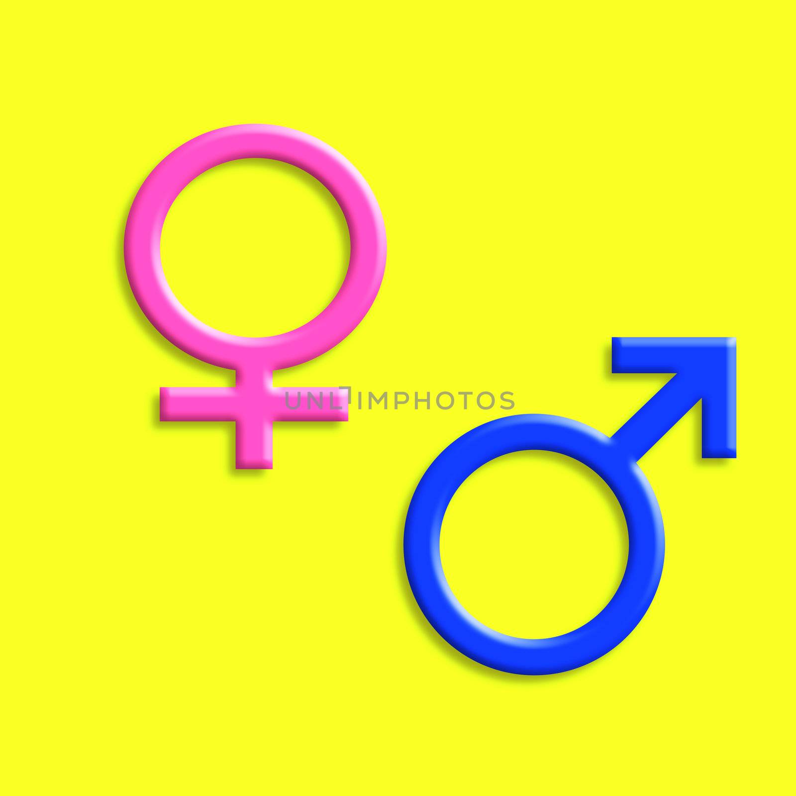 illustration - Gender signs  on a yellow background