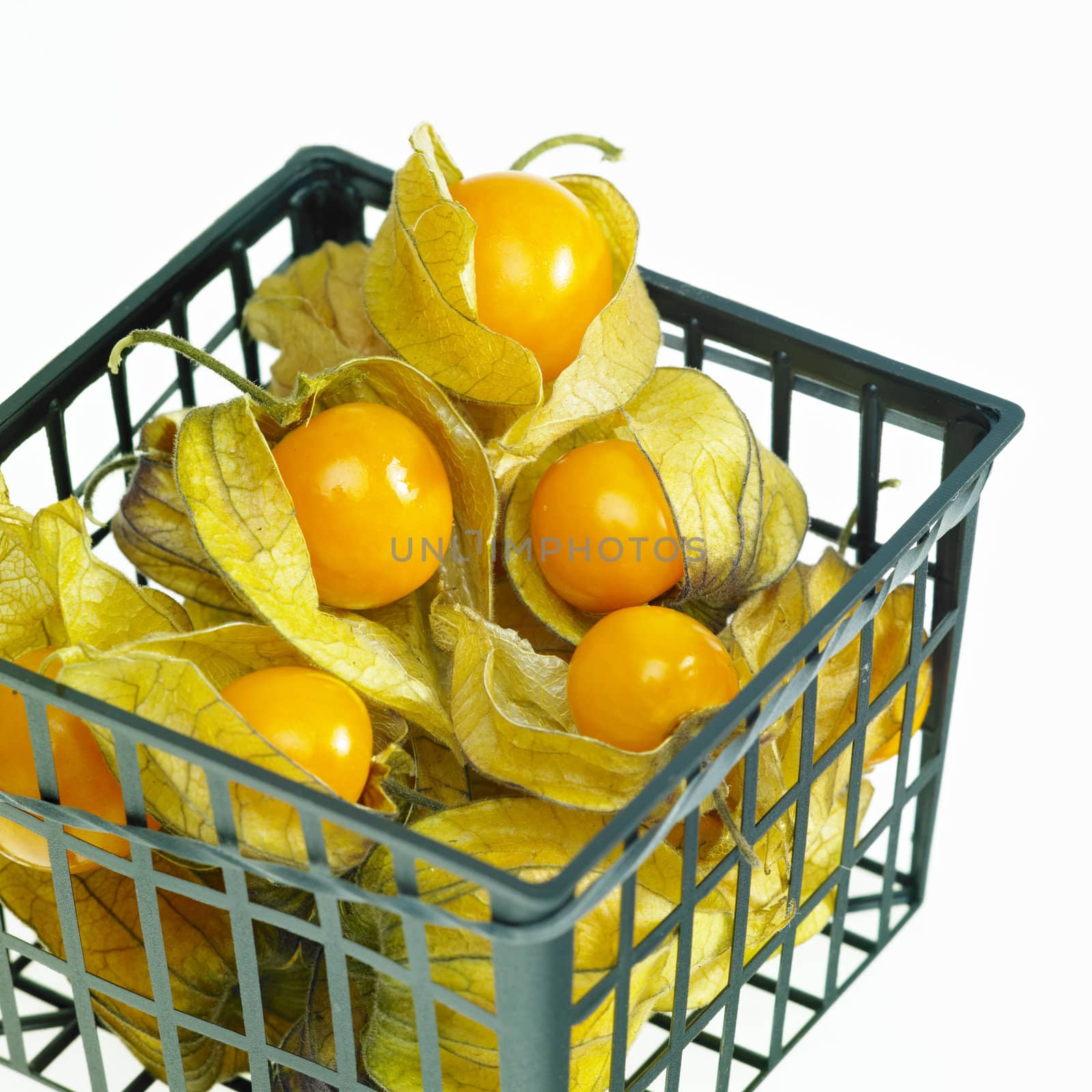 physalis