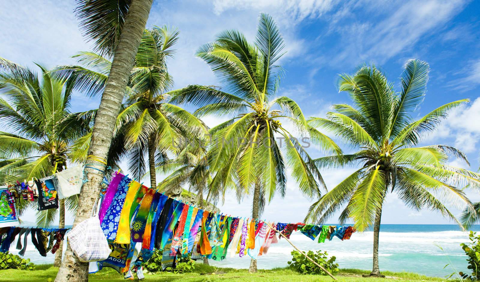 typical fabrics, Bathsheba, East coast of Barbados, Caribbean by phbcz