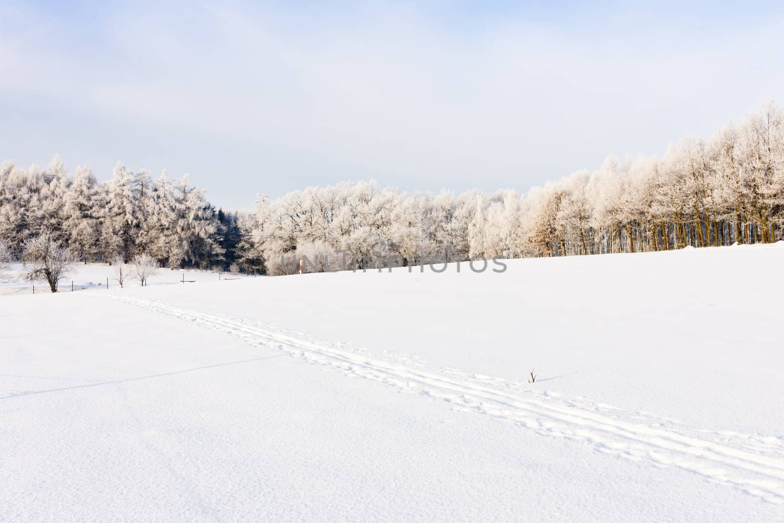 winter landscape, Czech Republic