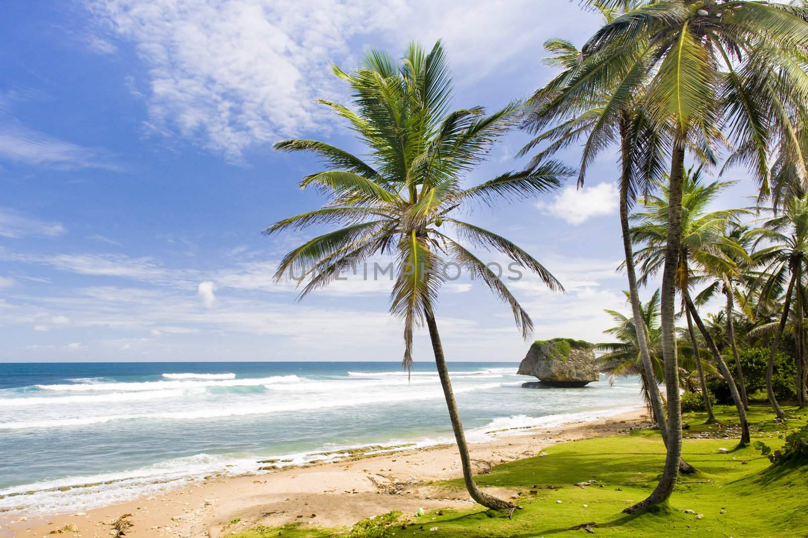 Bathsheba, Eastern coast of Barbados, Caribbean by phbcz