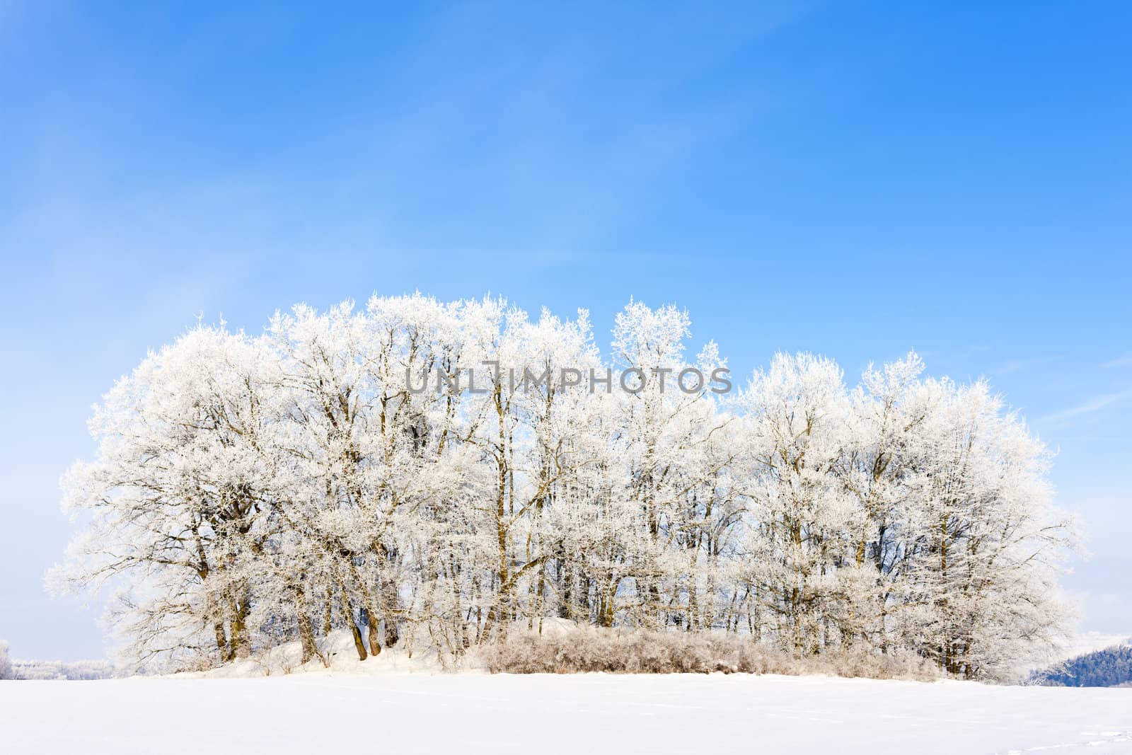 winter landscape, Czech Republic