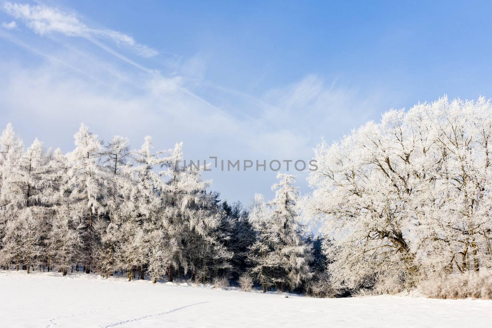 winter landscape, Czech Republic