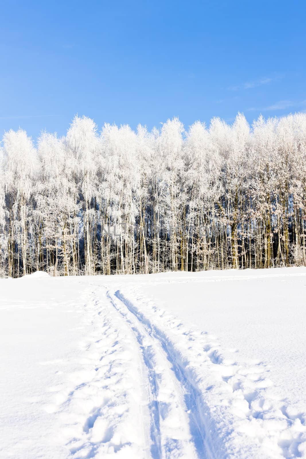 winter landscape, Czech Republic