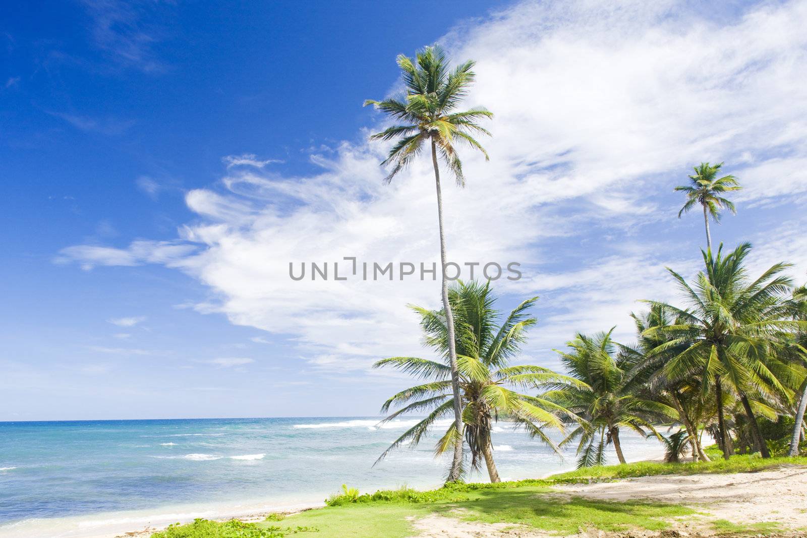 Bathsheba, Eastern coast of Barbados, Caribbean by phbcz