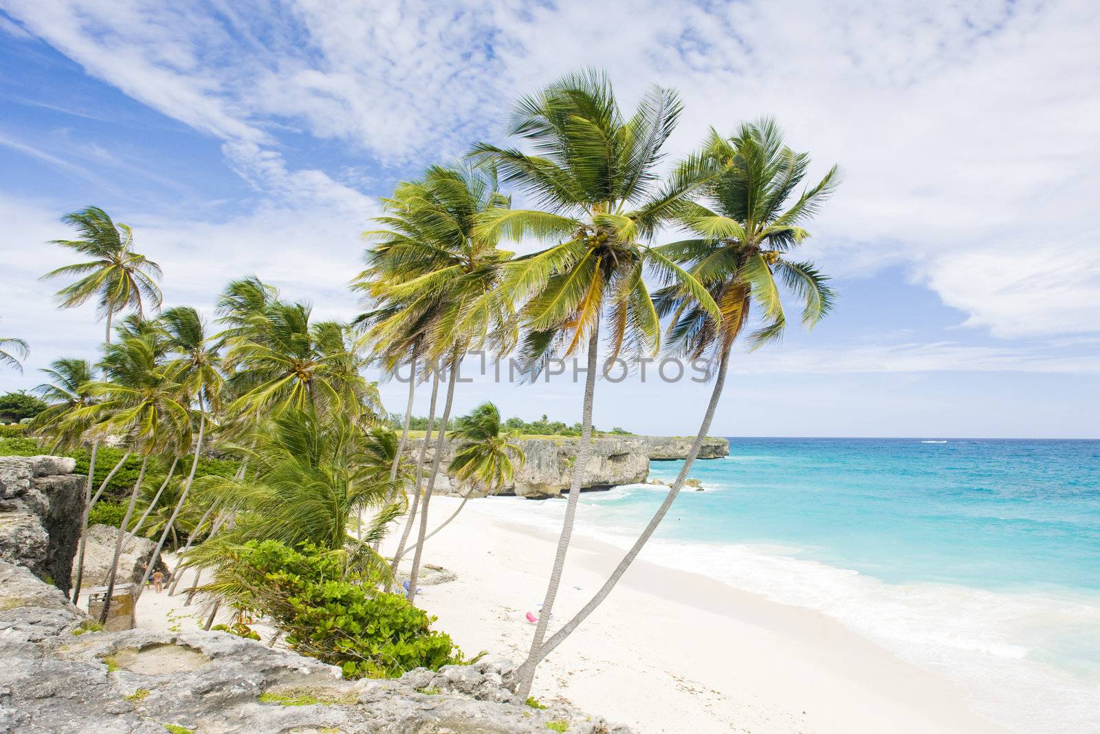 Bottom Bay, Barbados, Caribbean