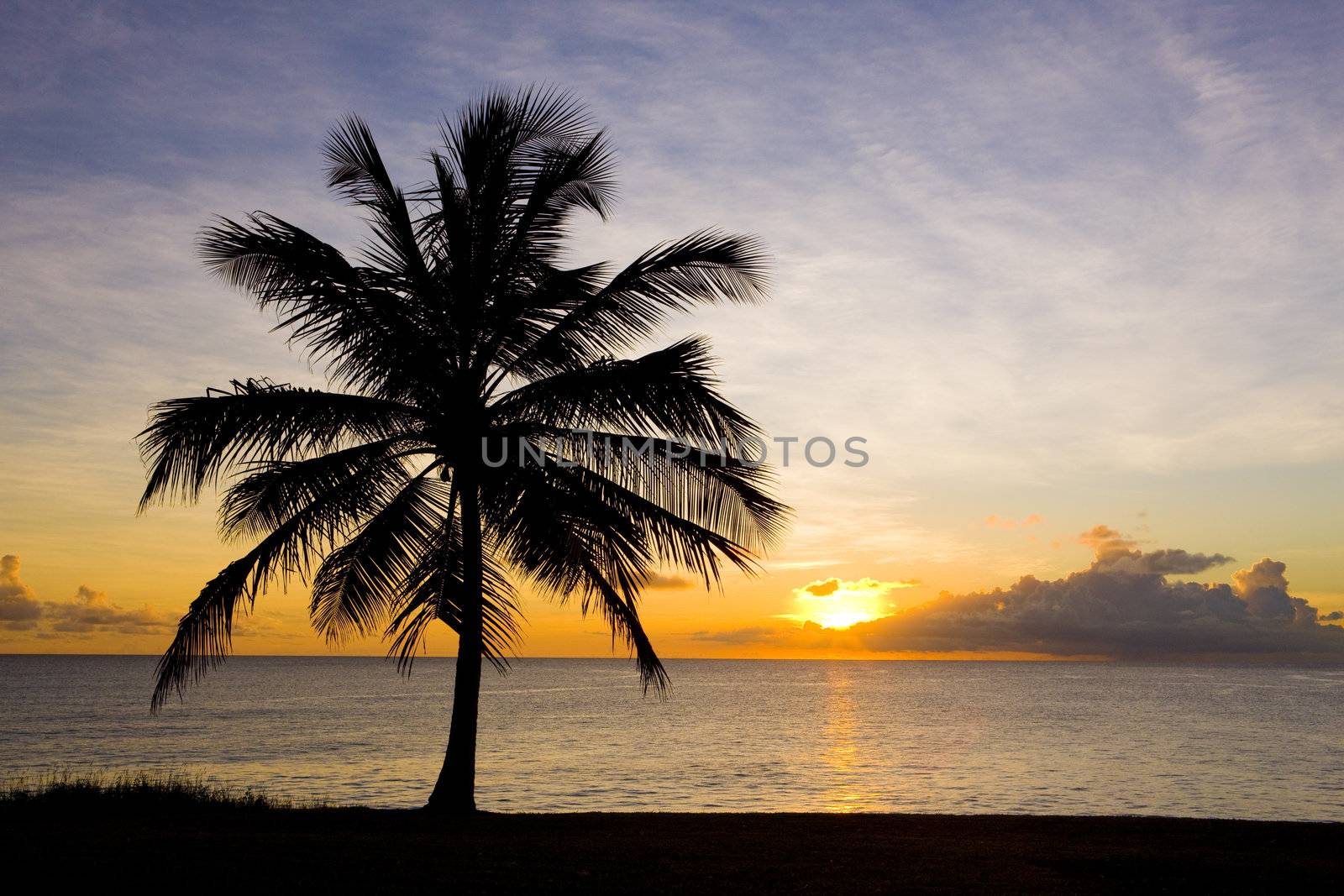 sunset over Caribbean Sea, Barbados