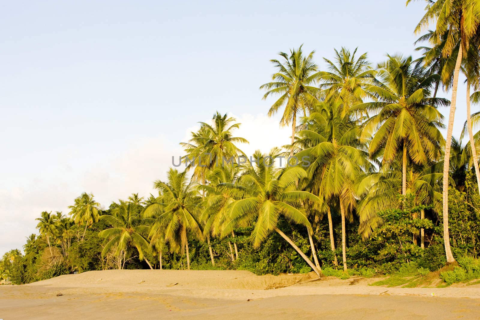 Turtle Beach, Tobago