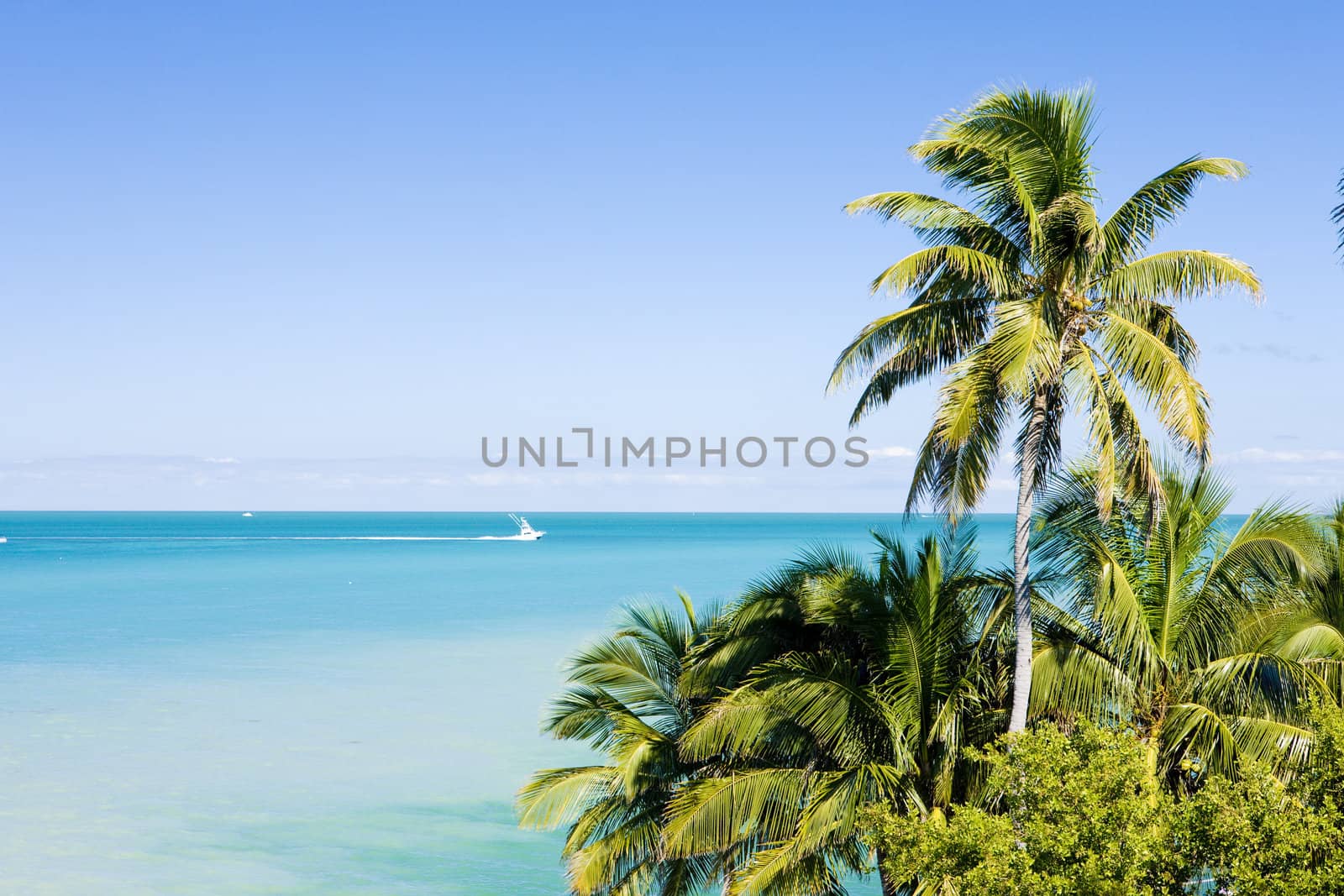 Florida Keys, Florida, USA by phbcz